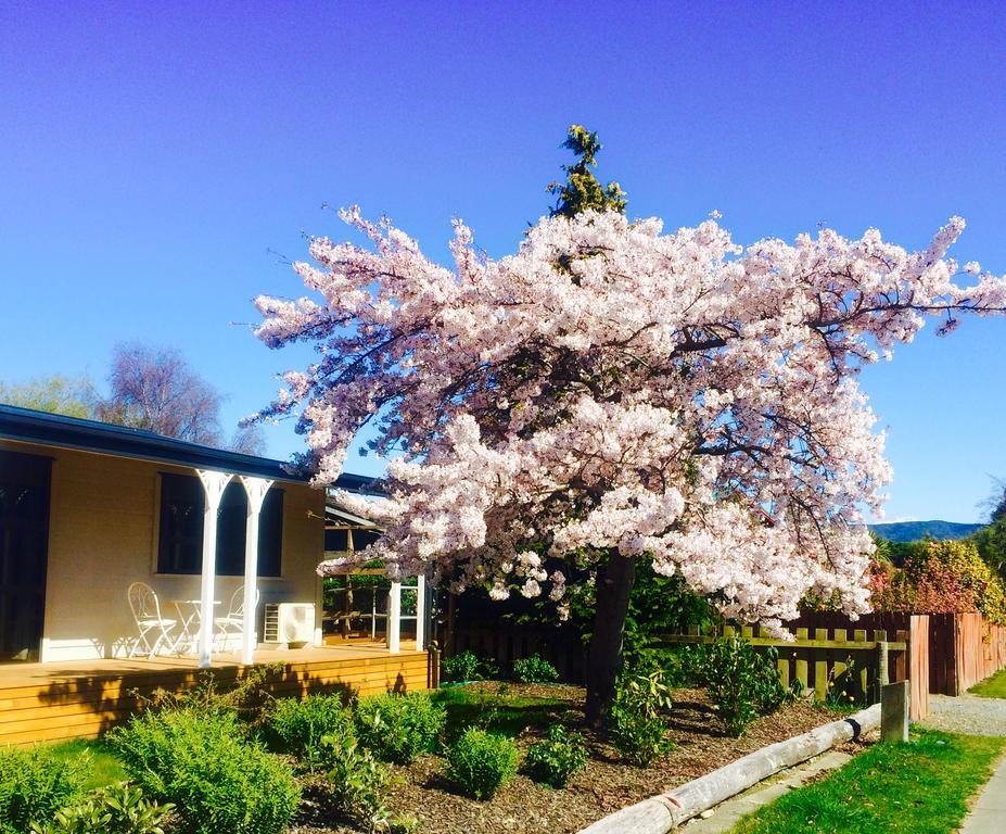 Milford Road Apartments Te Anau Exterior foto